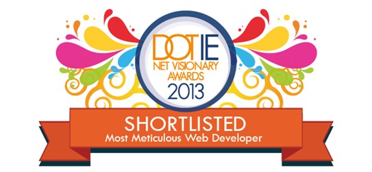 Net Visionary Awards 2013