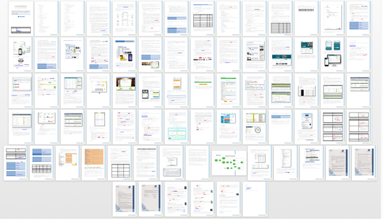 Birdseye of tender document